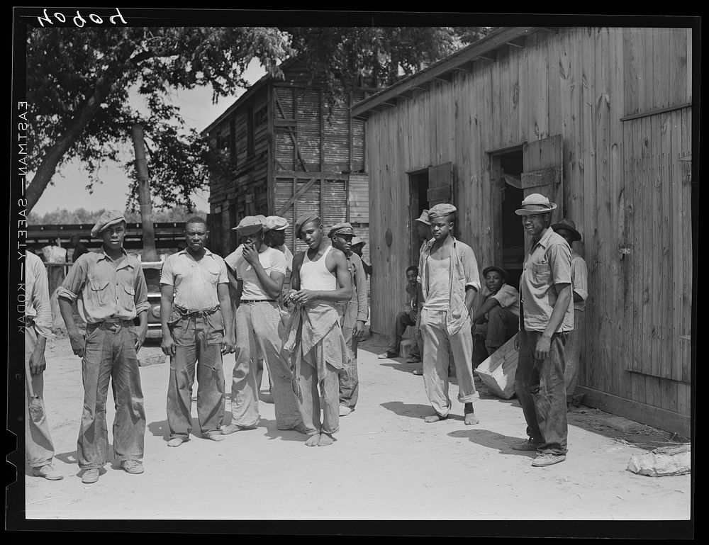 Migratory bean pickers at camp at Staytonville, Delaware. There are 130 persons all told in this camp--thirty in the house…