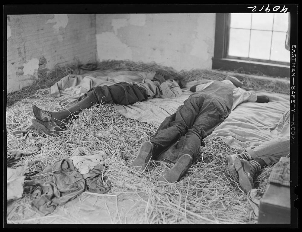 [Untitled photo, possibly related to: Sleeping quarters for a group of Florida migratory workers near Onley, Virginia].…