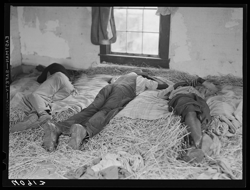Sleeping quarters for a group of Florida migratory workers near Onley, Virginia. Sourced from the Library of Congress.