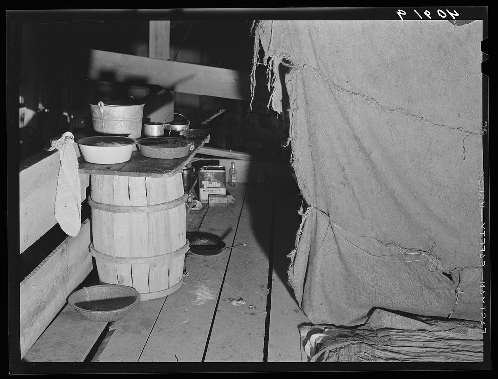 Cooking facilities for migratory agricultural workers living in the attic of a potato grading station at Belcross, North…