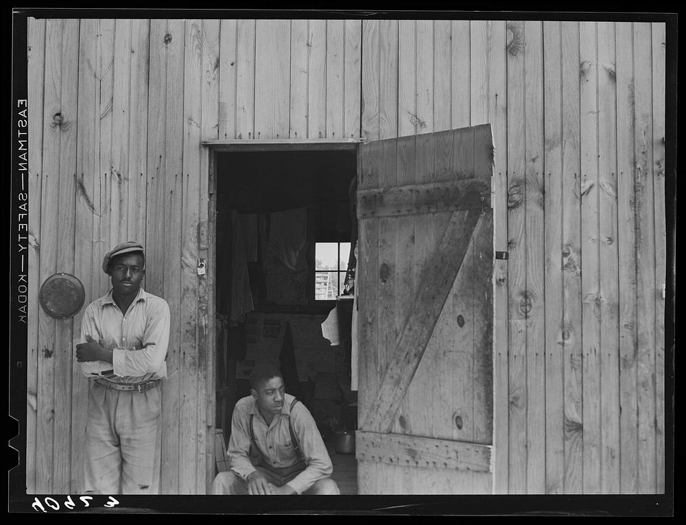 Migratory agricultural workers during the apple season at a camp near Bridgeville, Delaware. Sourced from the Library of…