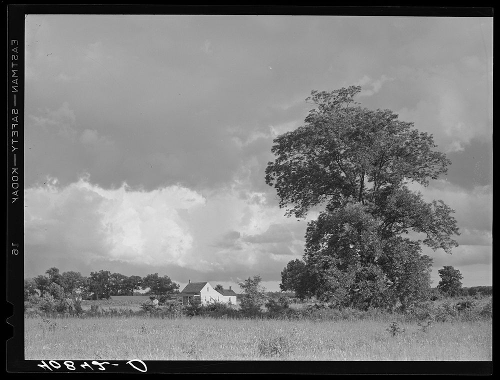 Farm landscape after a rain near Shiloh, North Carolina. Sourced from the Library of Congress.