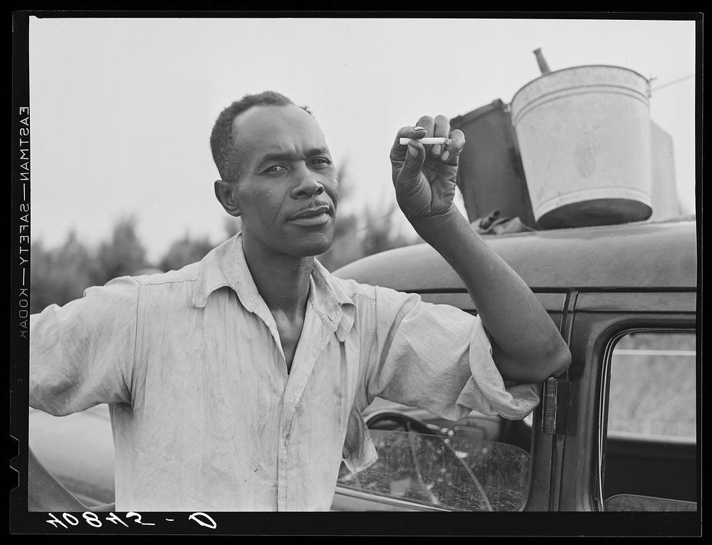 James Edwards, migratory agricultural laborer who has been following the seasons since 1928. Near Shawboro, North Carolina.…