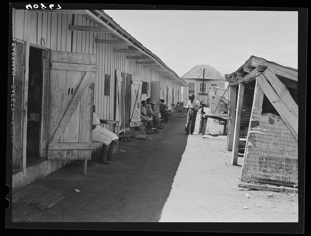 Camp for migratory agricultural workers of the Phillips Packing Company in Vienna, Maryland. On the left are the living…