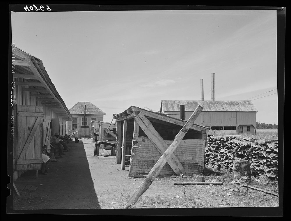 Camp for migratory workers of the Phillips Packing Company at Vienna, Maryland. On the left are the living quarters, in the…