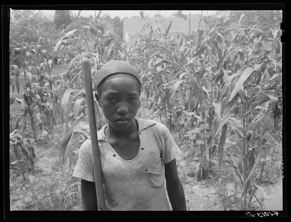 [Untitled photo, possibly related to: One of the children of FSA (Farm Security Administration) client Harry Handy. The plot…