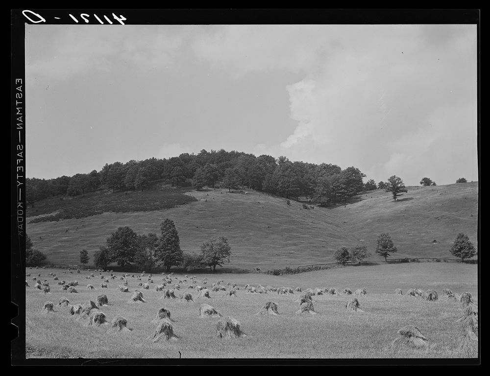 [Untitled photo, possibly related to: Farm landscape near Liberty, Pennsylvania, along Route 15]. Sourced from the Library…