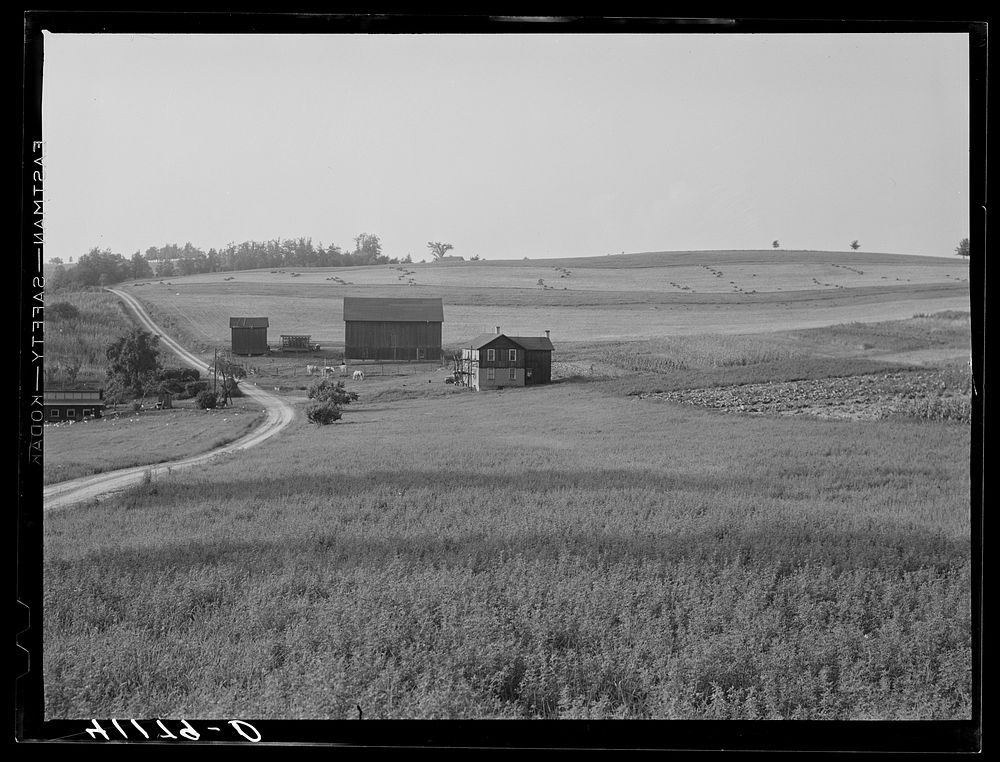 The Knees farm. Near Penfield, Pennsylvania. Members of the Tri-County Farmers Co-op Market at Du Bois, Pennsylvania.…