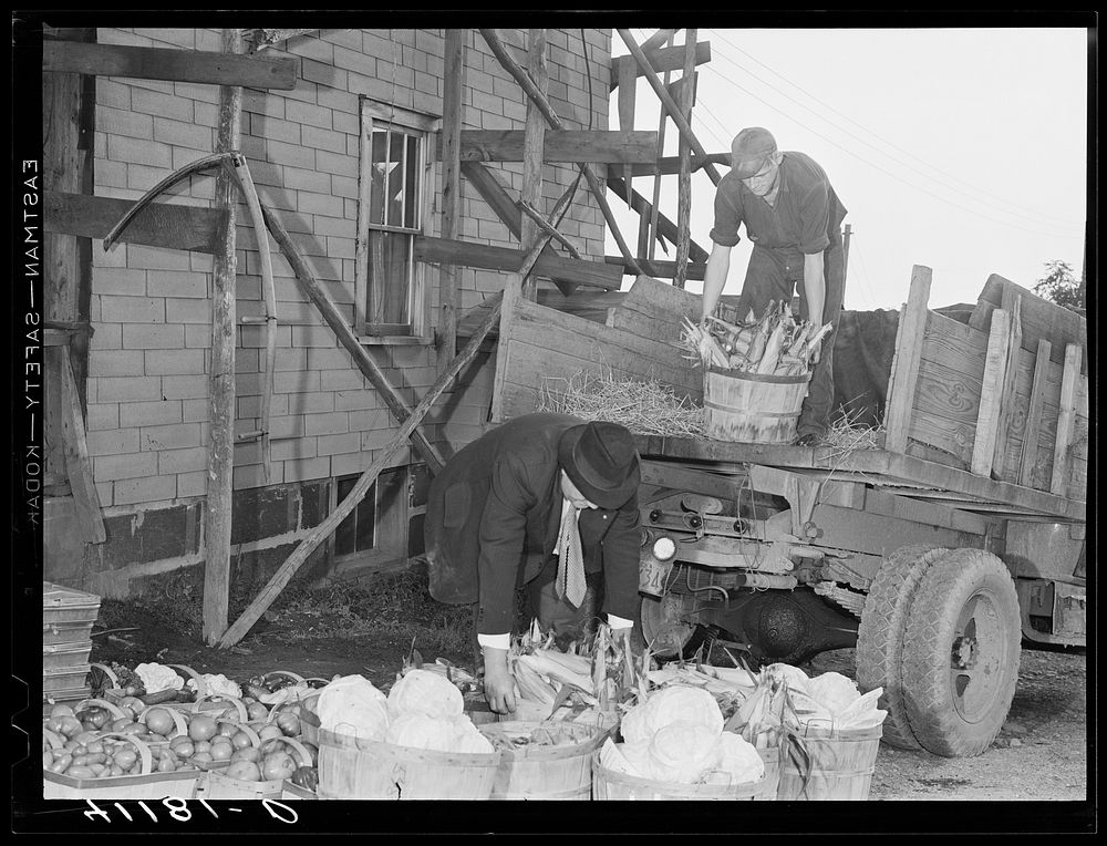 Loading produce to be taken to Tri-County Farmers Co-op Market in Du Bois, Pennsylvania, at the Knees farm near Penfield…