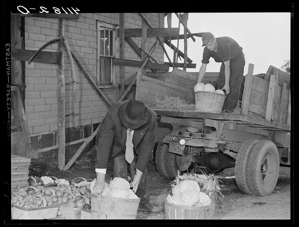 [Untitled photo, possibly related to: Loading produce to be taken to Tri-County Farmers Co-op Market in Du Bois…
