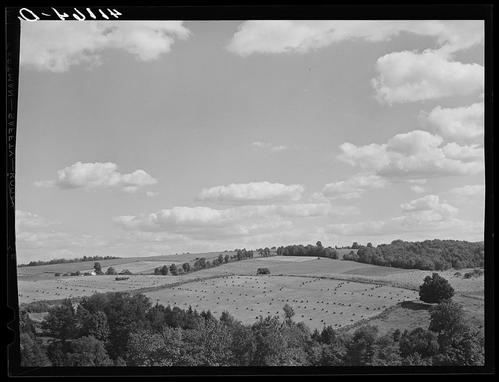 [Untitled photo, possibly related to: Farm landscape near Liberty, Pennsylvania, along Route 15]. Sourced from the Library…