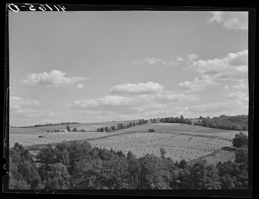Farm landscape near Liberty, Pennsylvania, along Route 15. Sourced from the Library of Congress.