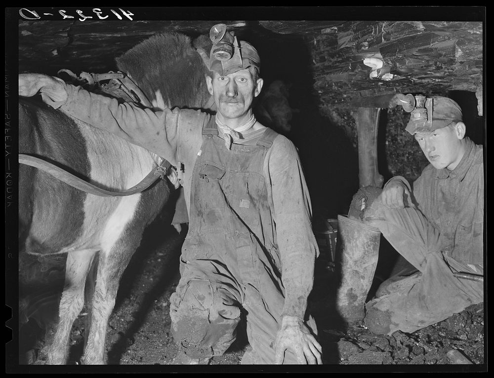 Mr. Merritt Bundy, member of Tri-County Farmers Co-op Market in Du Bois, Pennsylvania in the mine on his farm near Penfield…