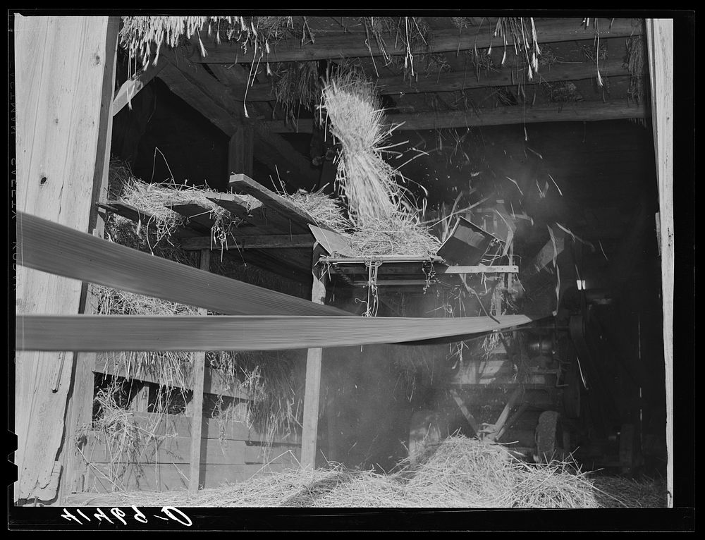 Threshing in the barn of Mr. Alfred Shaffner in the submarginal area of Sugar Hill, near Townsend, New York. Sourced from…