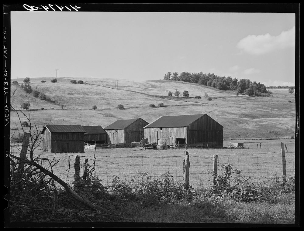 Landscape and barn showing the type of country in Sugar Hill, submarginal area near Townsend, New York. Sourced from the…