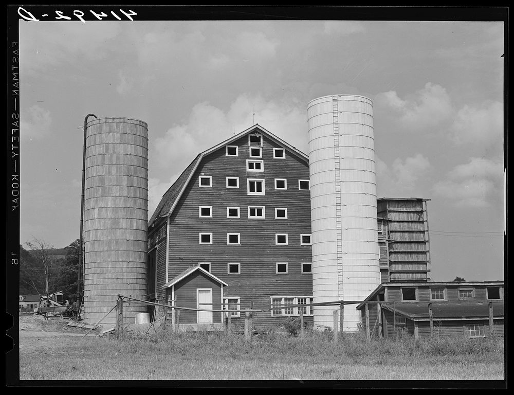 [Untitled photo, possibly related to: A dairy farm two miles north of Spencer, New York]. Sourced from the Library of…