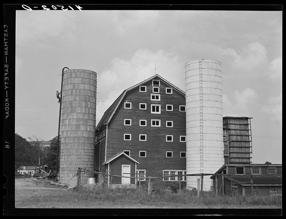 A dairy farm two miles north of Spencer, New York. Sourced from the Library of Congress.