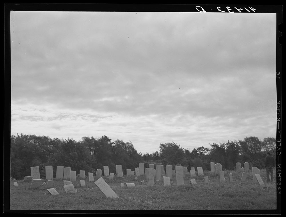 [Untitled photo, possibly related to: Graveyard near Townsend, New York]. Sourced from the Library of Congress.