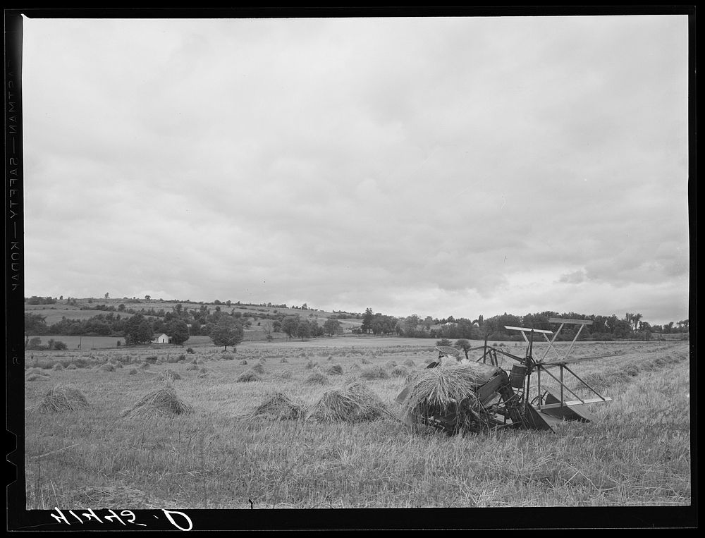 Landscape near Ithaca, New York. Sourced from the Library of Congress.