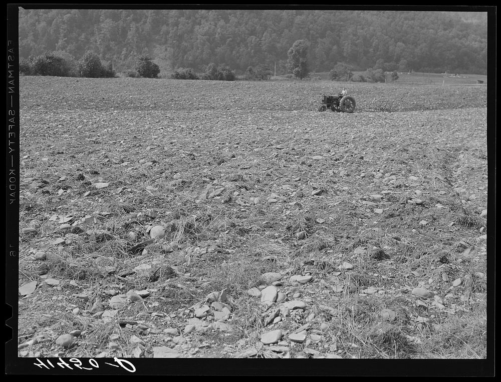 Tilling field, showing rocky soil along Route 34, three miles north of Spencer, New York. Sourced from the Library of…