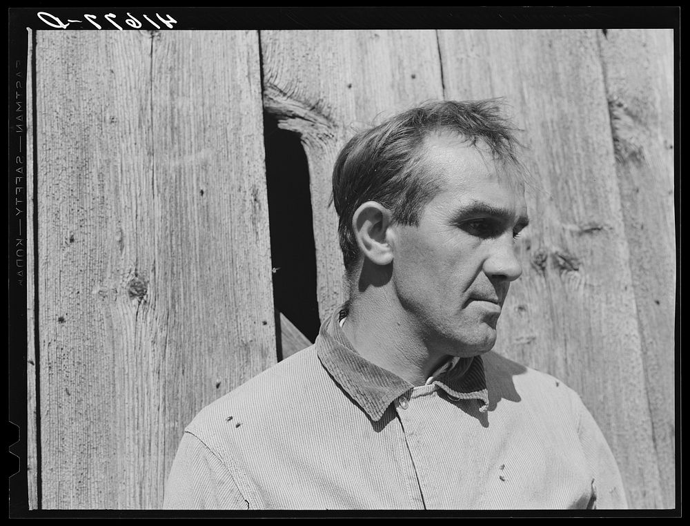 Mr. Arthur Wolf, FSA (Farm Security Administration) client on his farm near North Branford, Connecticut. Sourced from the…