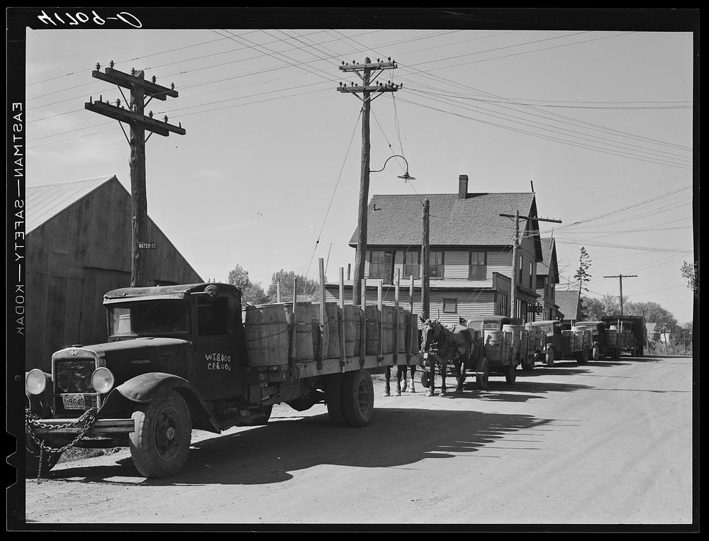 Trucks loaded with potatoes lined up in front of a starch factory in Caribou, Maine. Sourced from the Library of Congress.