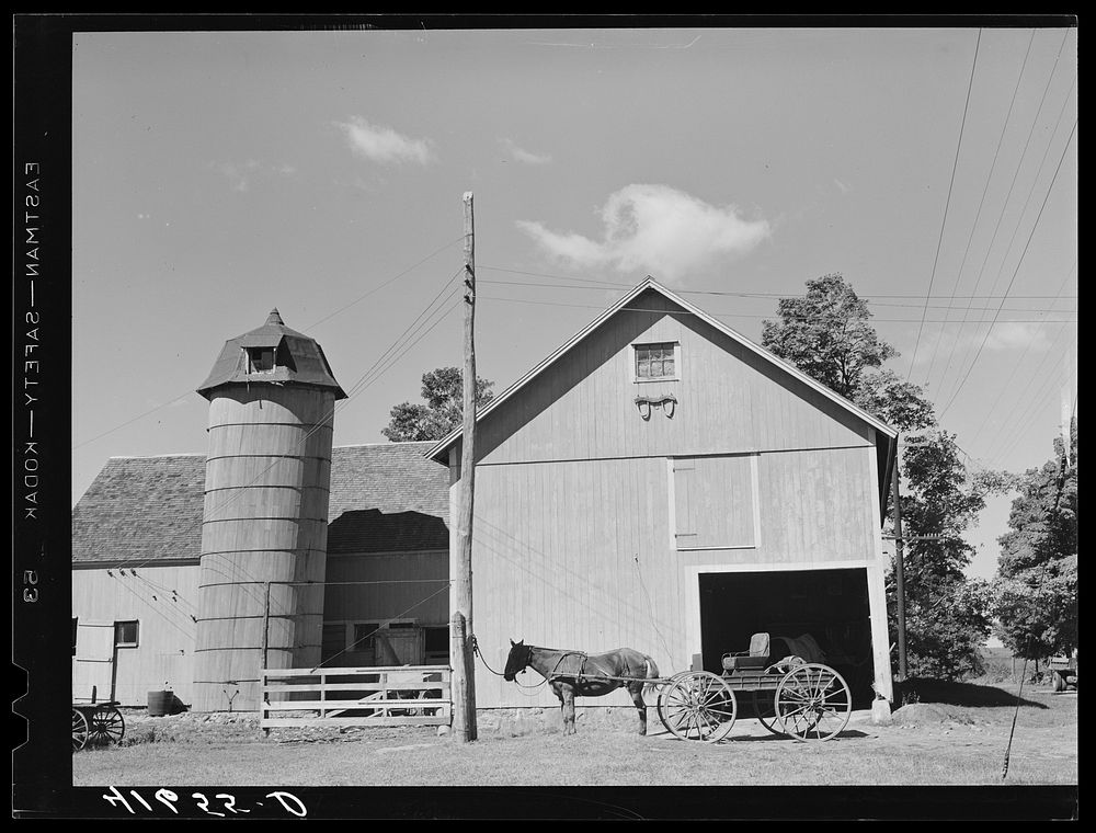 [Untitled photo, possibly related to: Horse and buggy at smith shop on the farm of Emerson J. Leonard. Westville…