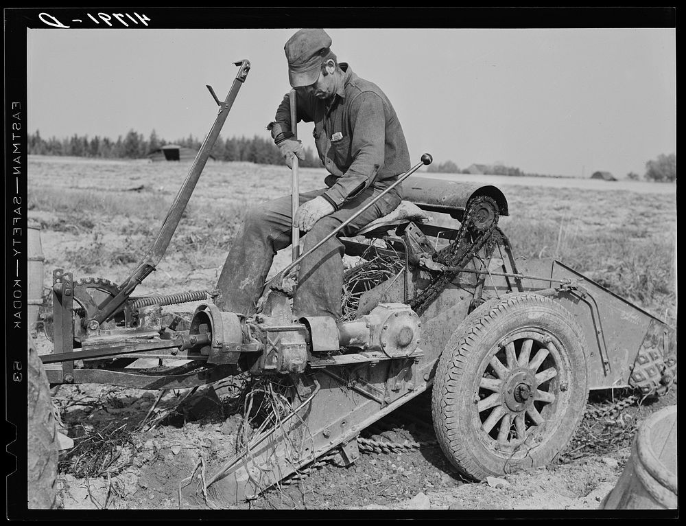 On a tractor-drawn potato digger on a farm near Caribou, Maine. Sourced from the Library of Congress.