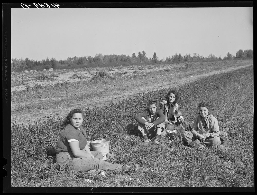 Part of a potato picking crew having lunch in the field three miles out of Caribou, Maine. Sourced from the Library of…