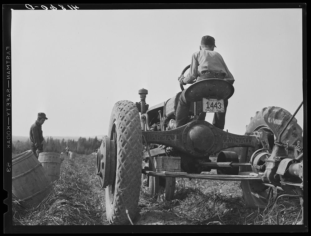 [Untitled photo, possibly related to: Harvesting potatoes with a single-row tractor-drawn digger on a farm near Caribou…