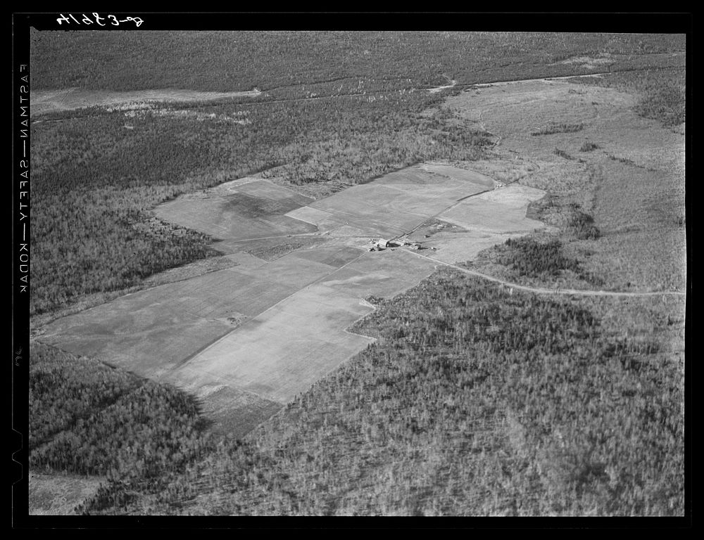 [Untitled photo, possibly related to: The Holmquist seed foundation farm near New Sweden, Maine. See general caption…