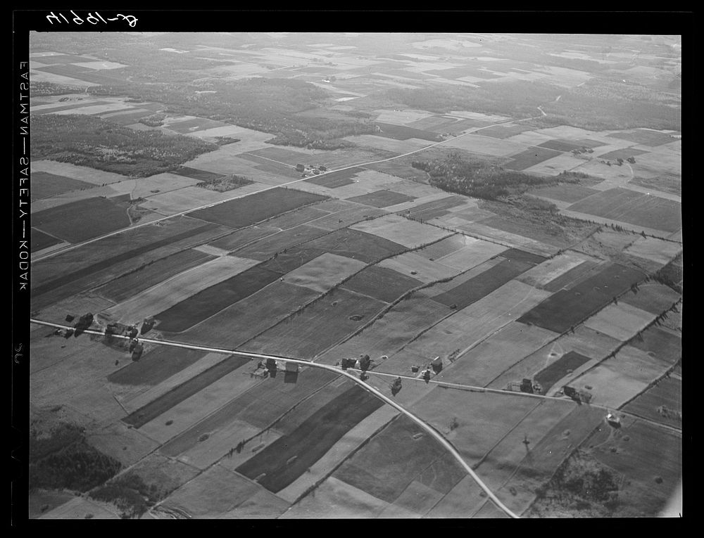Potato farms along U.S. 1. Near Caribou, Maine. Sourced from the Library of Congress.