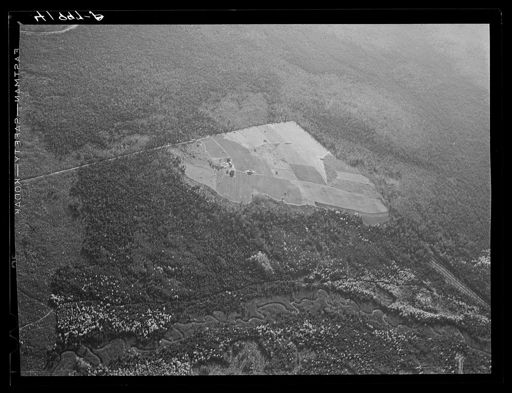 [Untitled photo, possibly related to: Potato seed foundation farm showing isolation. See general caption Aroostook number…