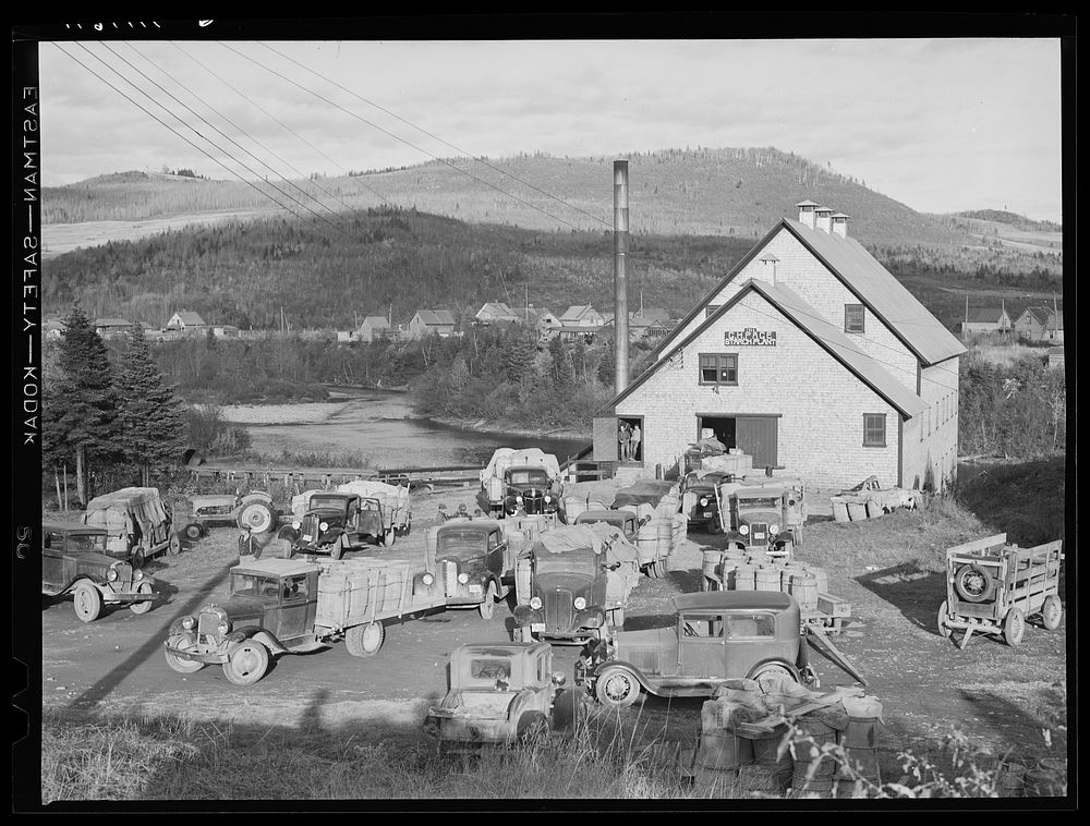 Farmers with their trucks waiting outside a starch factory in Fort Kent, Maine. Many of them have been there for over twenty…