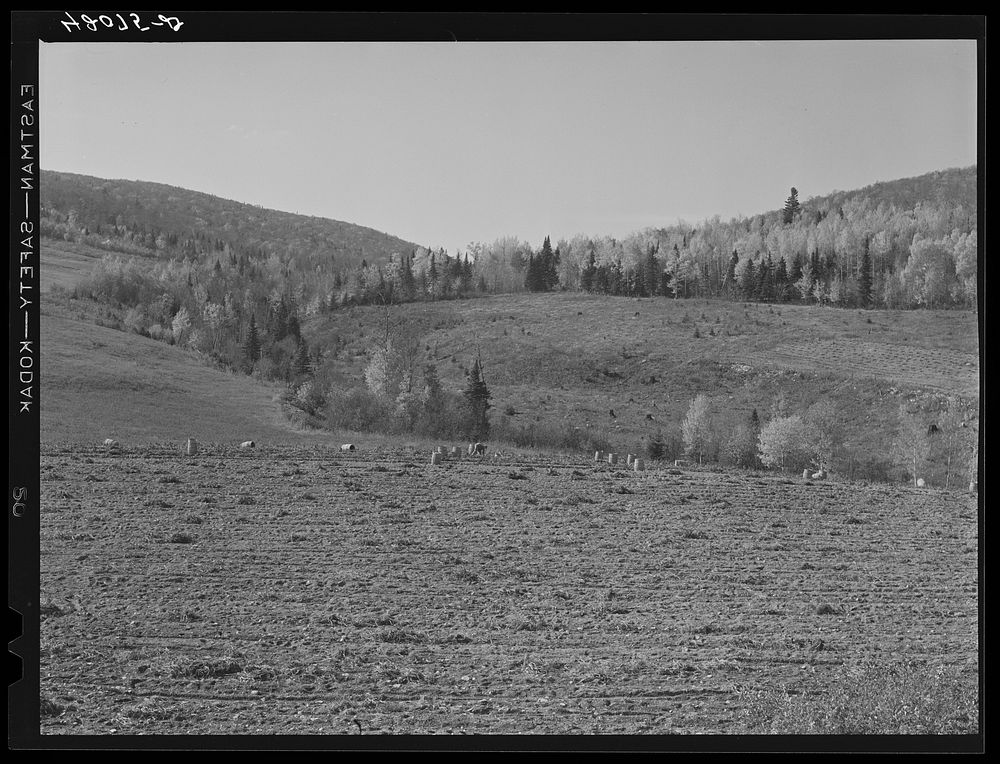 Isolated see foundation unit of Mr. Lawrence J. Brown, FSA (Farm Security Administration) client and potato farmer in Eagle…