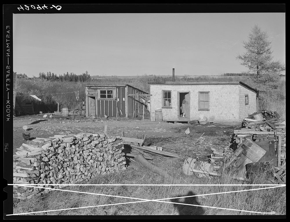 Rural slums near Van Buren, Maine, showing firewood gathered for winter. Sourced from the Library of Congress.
