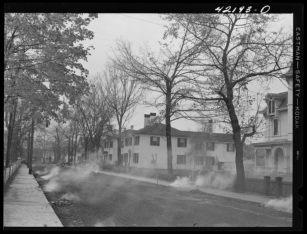 Burning the autumn leaves on Broadway in Norwich, Connecticut. Sourced from the Library of Congress.