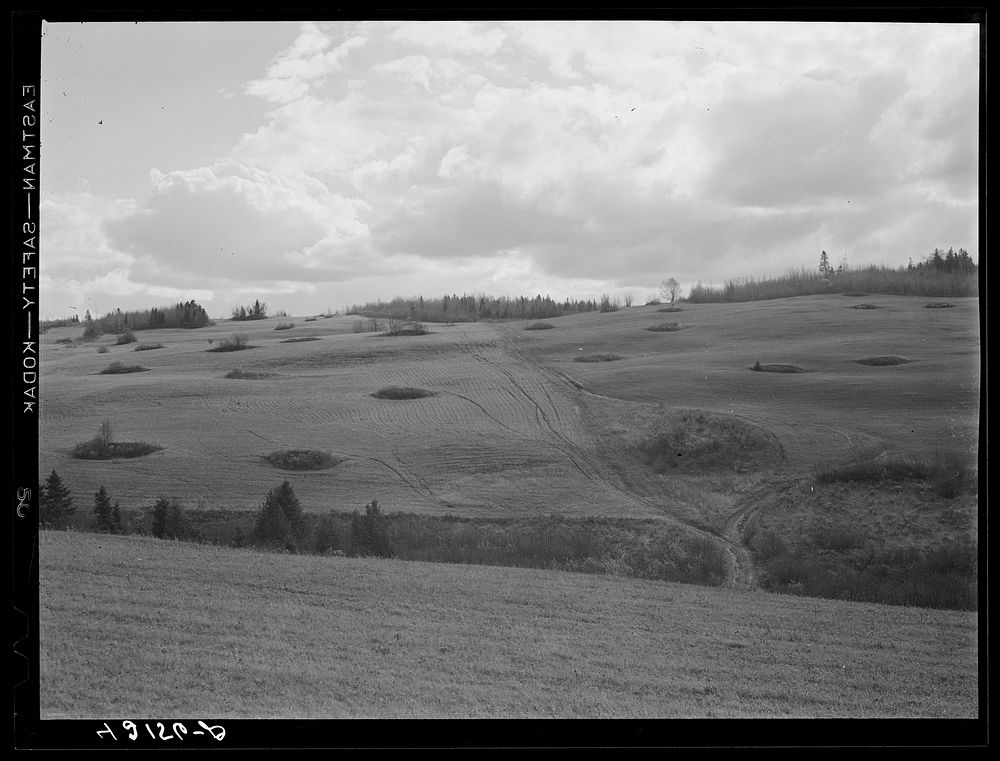 Soil erosion in a field near Fort Kent, Maine. Sourced from the Library of Congress.