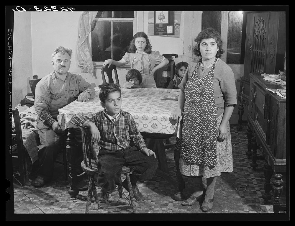 The family of Constantino Da Nora, Italian truck farmer in Colchester, Connecticut. Sourced from the Library of Congress.