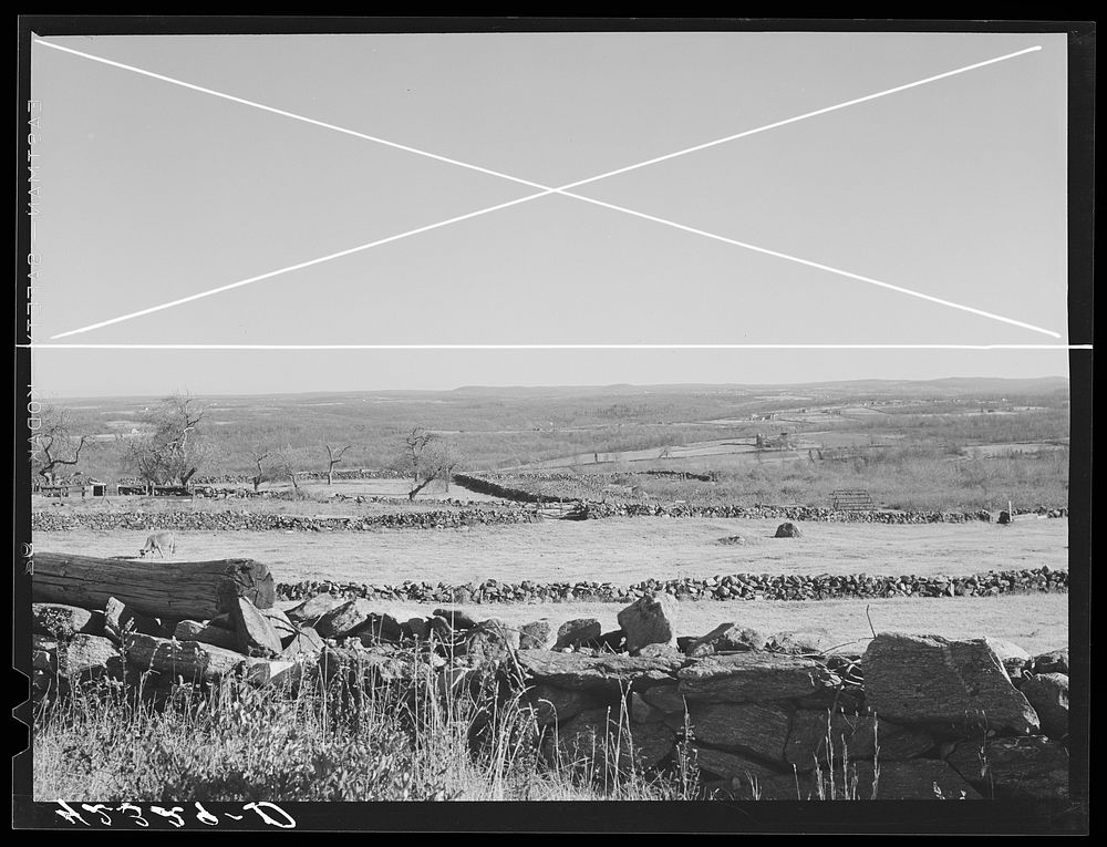 Landscape showing stone fences near Baltic, Connecticut. Sourced from the Library of Congress.