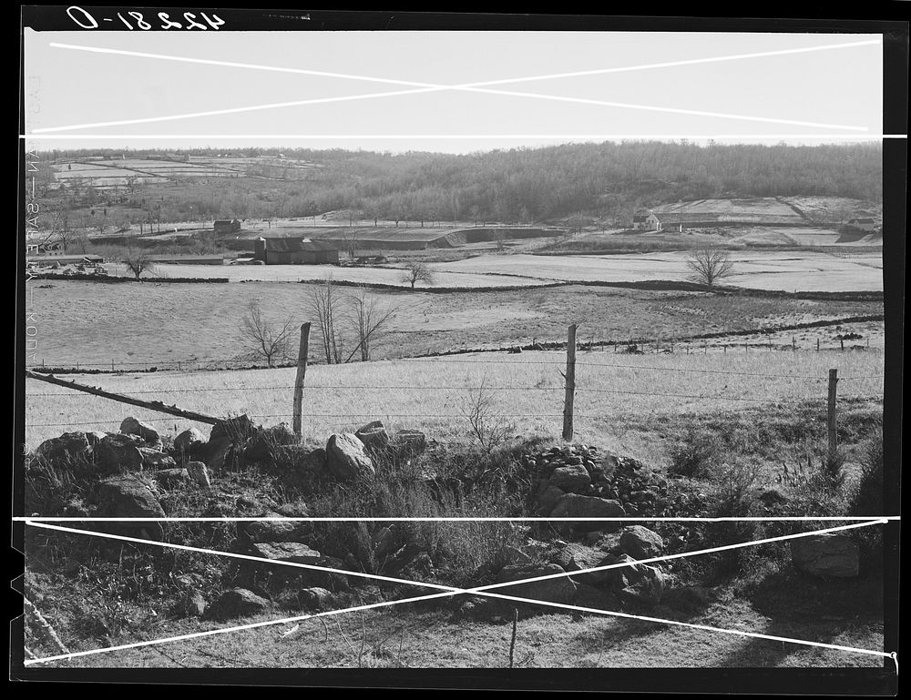 Eastern Connecticut landscape showing stone fences. Near Baltic, Connecticut. Sourced from the Library of Congress.