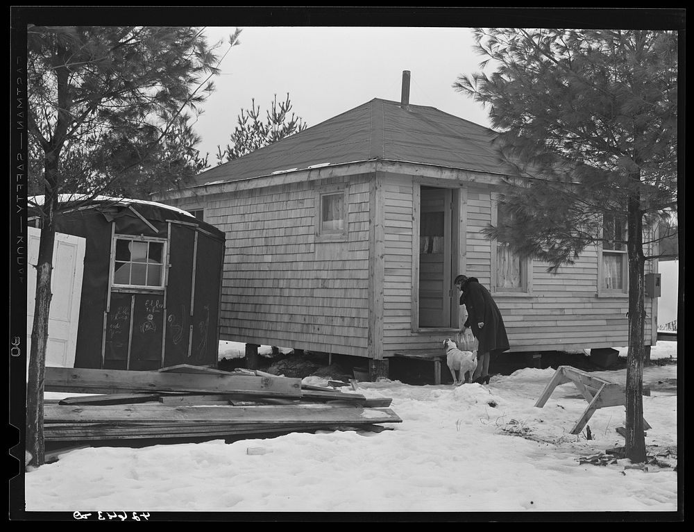 Mrs. Carol Porter setting out milk bottle. Shot shows small shack the Porters lived in while they were building their house.…