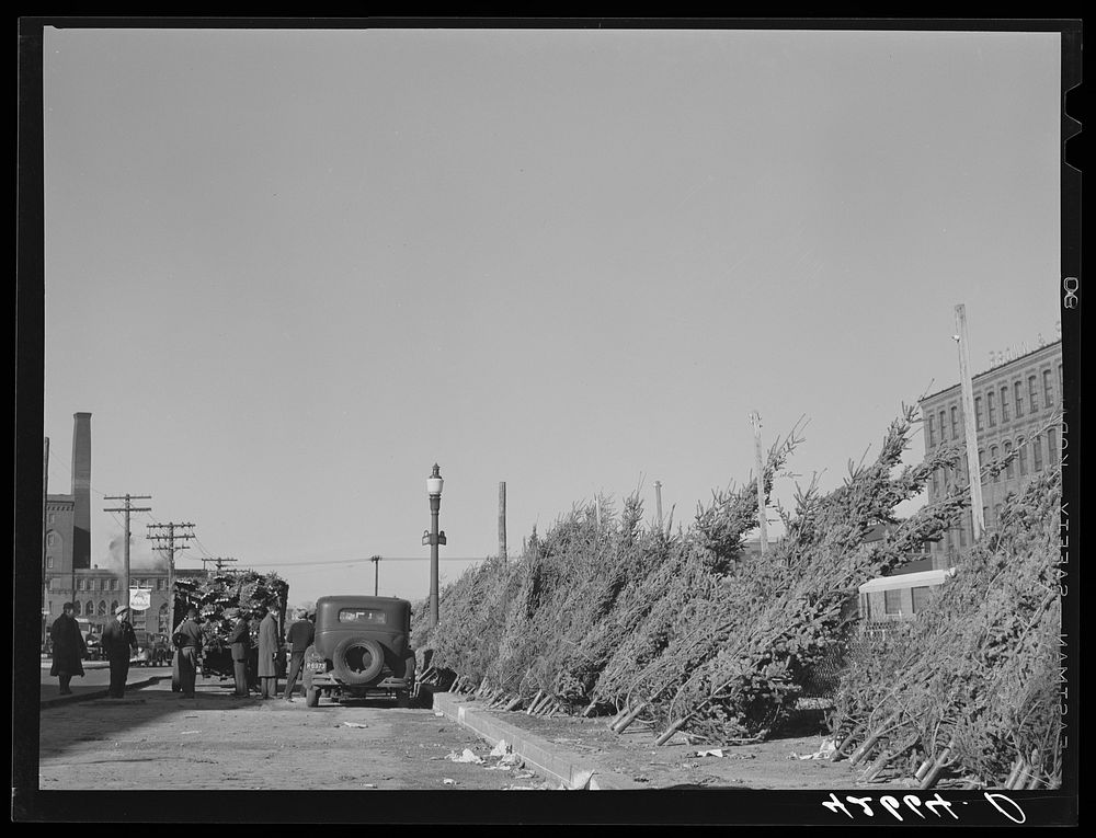 Christmas trees for sale at the market in Providence, Rhode Island. Sourced from the Library of Congress.