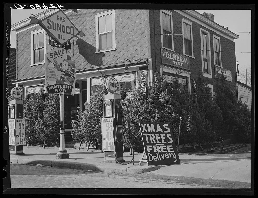 Christmas trees for sale at a gas station. Woonsocket, Rhode Island. Sourced from the Library of Congress.