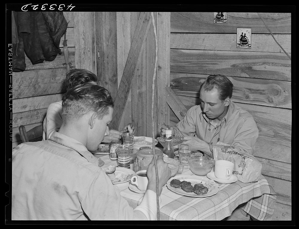 [Untitled photo, possibly related to: Truckers from Fort Bragg having supper in their shack near Manchester, North…