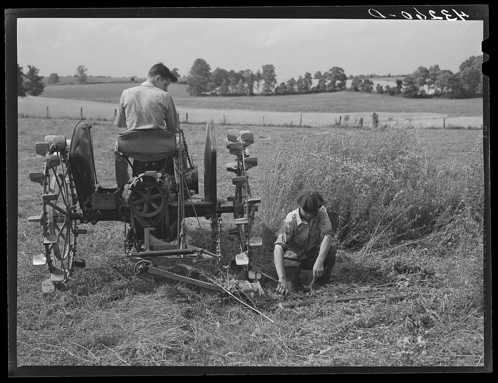 Adjusting cutter. Farm near Rockville, Maryland. Sourced from the Library of Congress.