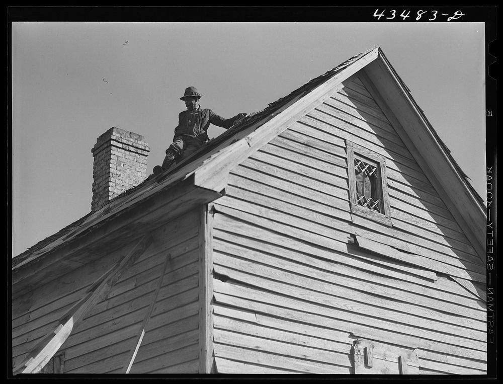 [Untitled photo, possibly related to: Repairing the roof of an old tenant house to be occupied by a  family from the…