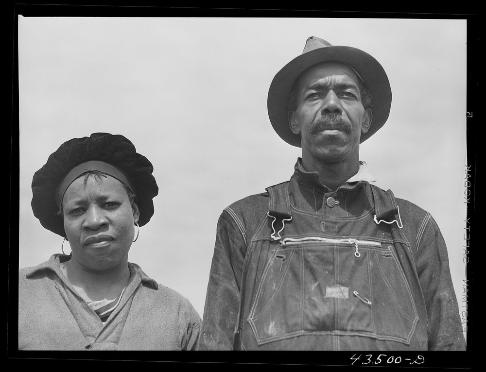 [Untitled photo, possibly related to: This family had moved out of the Santee-Cooper basin and were trying to get an…