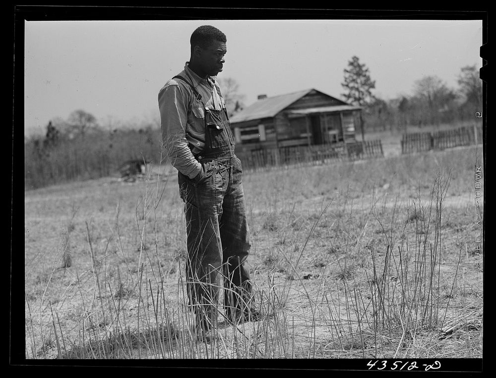  tenant farmer who had to move out of the Santee-Cooper basin. Near Bonneau, South Carolina. Sourced from the Library of…