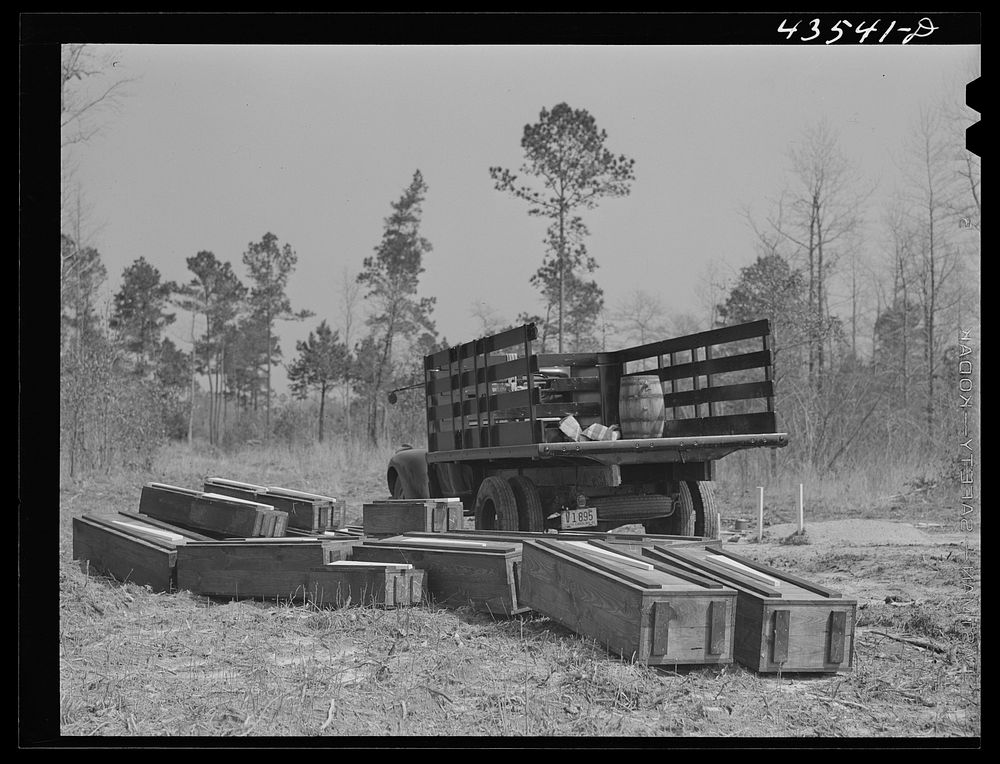 [Untitled photo, possibly related to: Digging new graves for a cemetery being moved out of Santee-Cooper basin. Near…